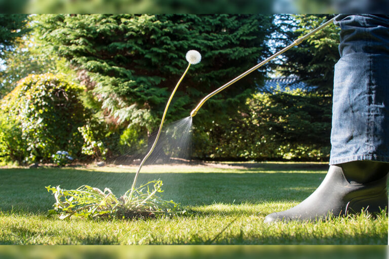 Resident calls on municipalities to declare themselves unwilling hosts to glyphosate