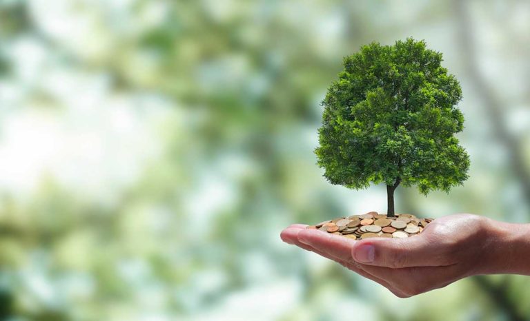 Carbon credits could benefit Billings Township, climate action committee hears