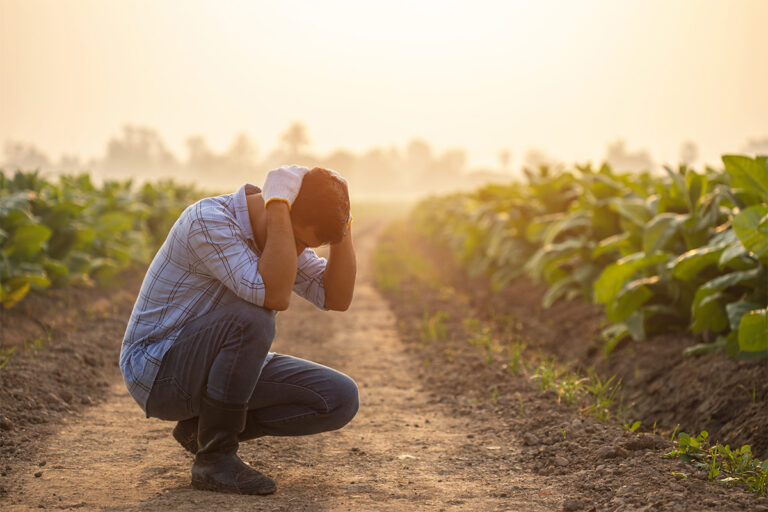 The weight of the harvest: mental health in Canadian agriculture