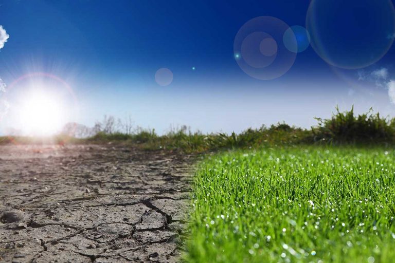 Inaugural climate change committee meeting discusses Island impacts