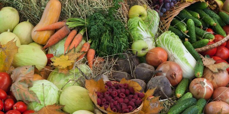 Sheguiandah Autumn Harvest fall fair returns