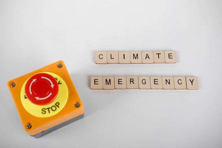 Mindemoya resident asks council support to declare climate emergency