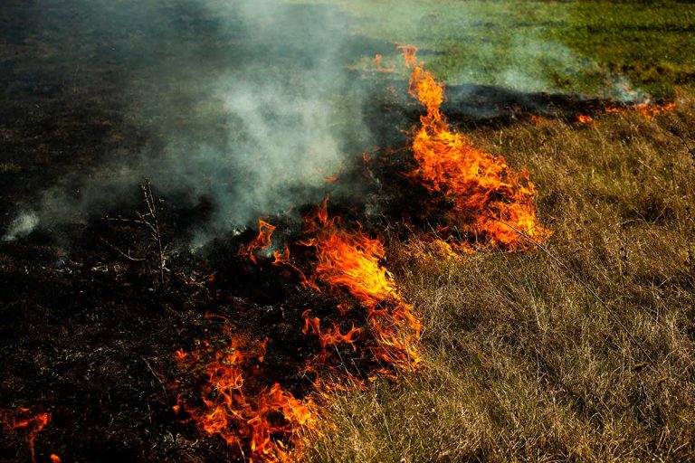 Gore Bay Fire Department responds to grass fire