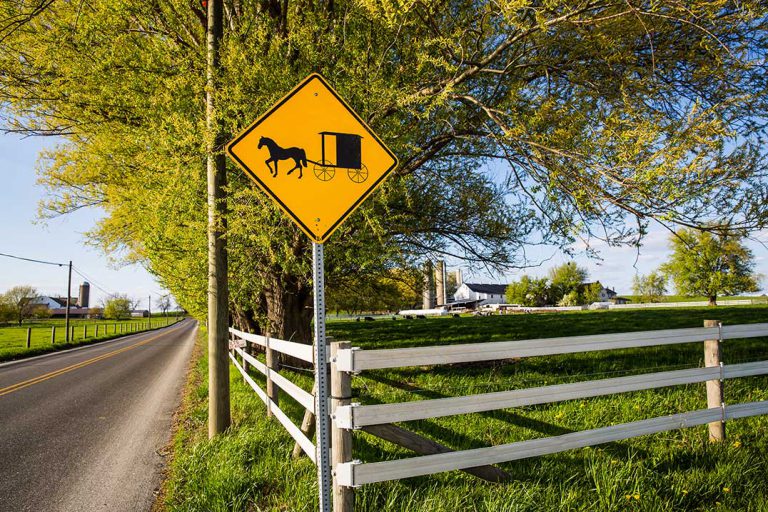 Council calls on MTO for horse and buggy signs