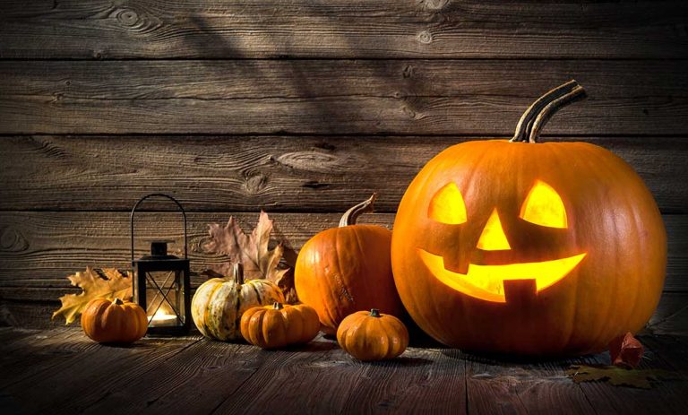 ???? Get pumped for the Pumpkin Festival and Haunted Ride ????