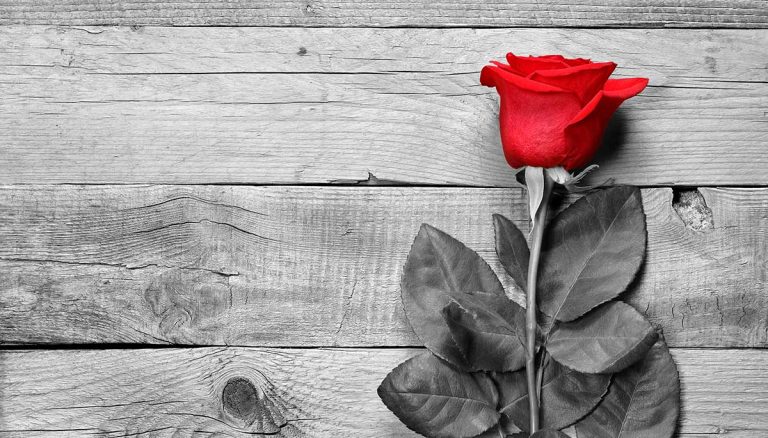 Editorial: Remembering the women of École Polytechnique