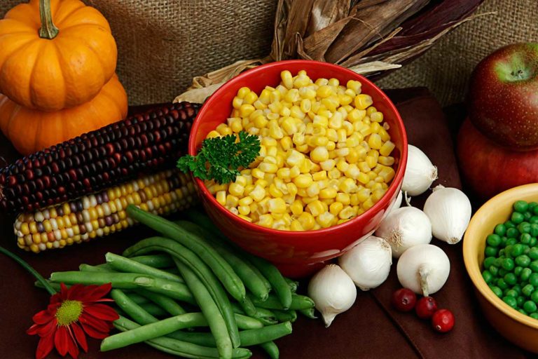 Wiikwemkoong receives $49,500 Indigenous agri-tourism support