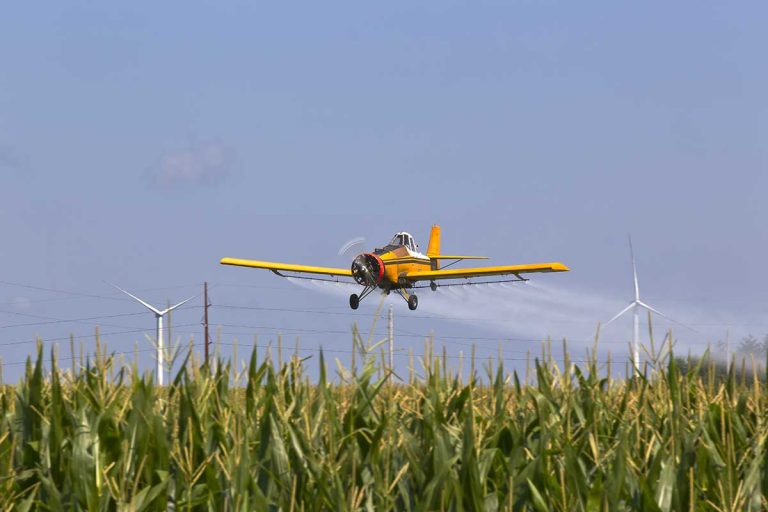 Court action will be taken concerning aerial spraying on Robinson Treaty lands