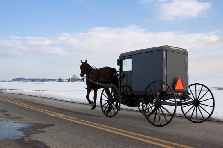 OPP, Burpee and Mills partner to keep Amish safe