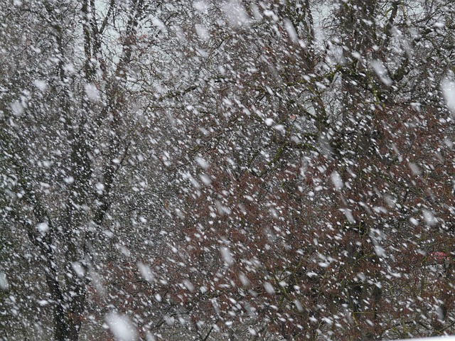 Snowfall warning in effect, significant accumulations expected