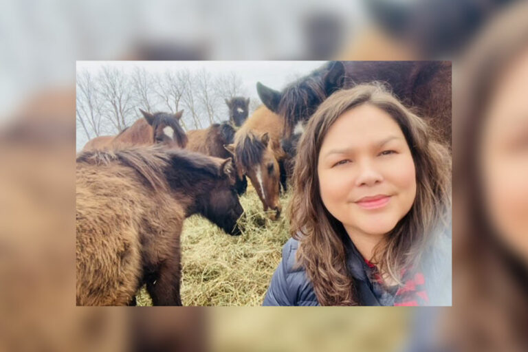Wiikwemkoong is new home for Ojibwa Spirit Horses