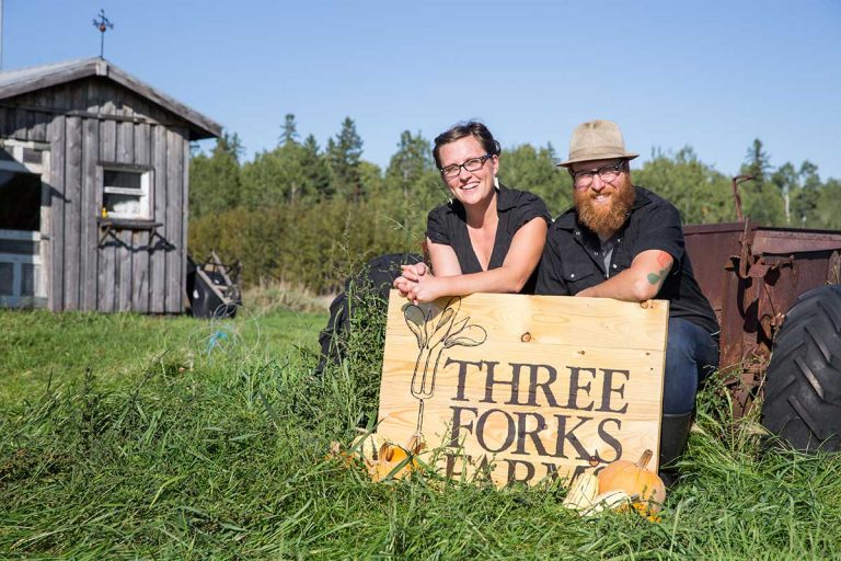 Warren organic food, seed farm Three Forks Farms moves to Ice Lake