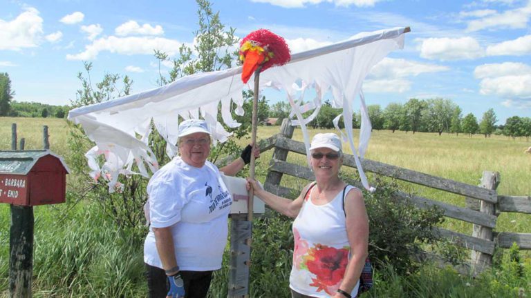 Only one Sandhill crane spotted by Tour de Barrie Island participants