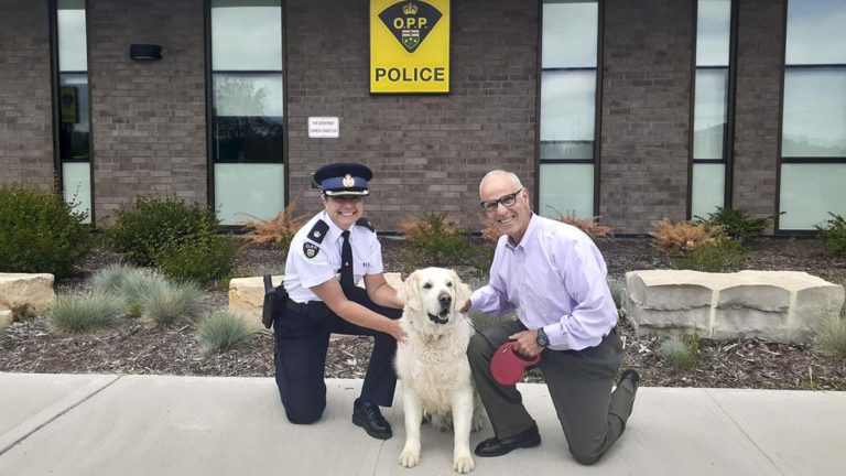 Islanders receive OPP awards