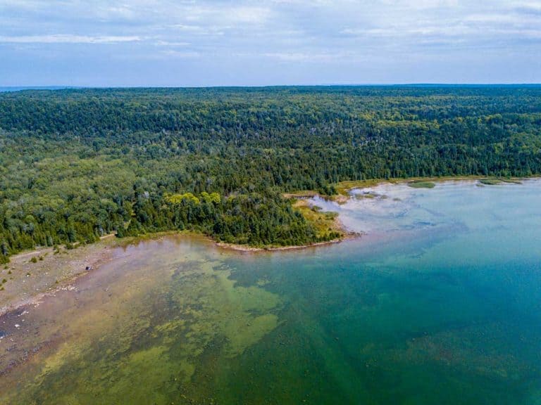 Dawson-Robinson  seek tax relief from Conservancy over desired Vidal Bay sale