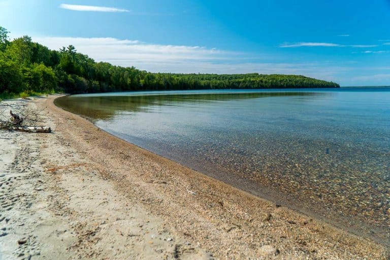 Nature Conservancy seeks to purchase Vidal Bay Forest