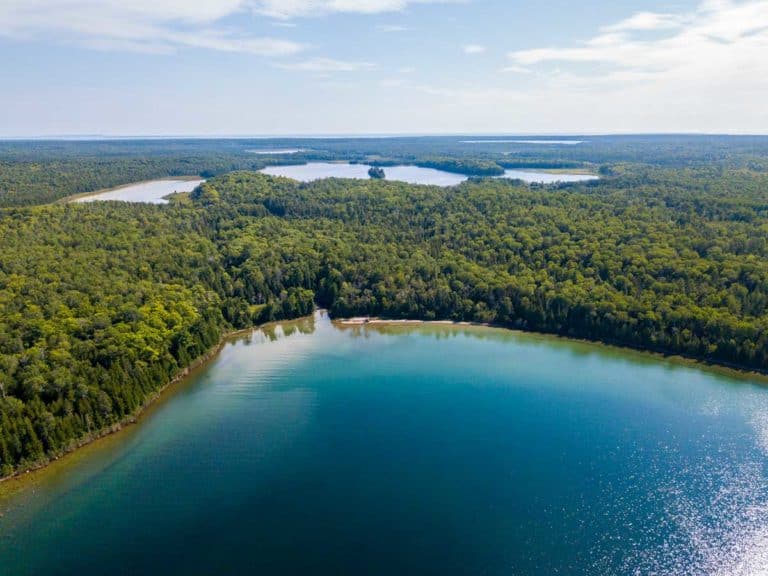 Lafarge Canada helps protect Vidal Bay forests and shoreline