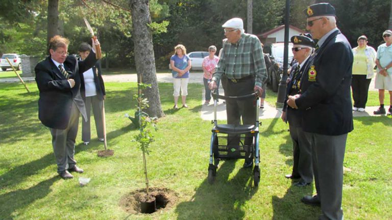 Vimy oak sapling planted at cenotaph in honour of vets