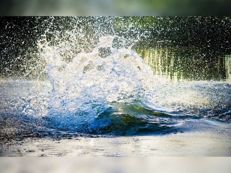 Sandfield bait shop owner concerned about Lake Manitou dam management