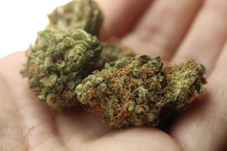 Councils will have to make quick decision on allowing private retail cannabis stores