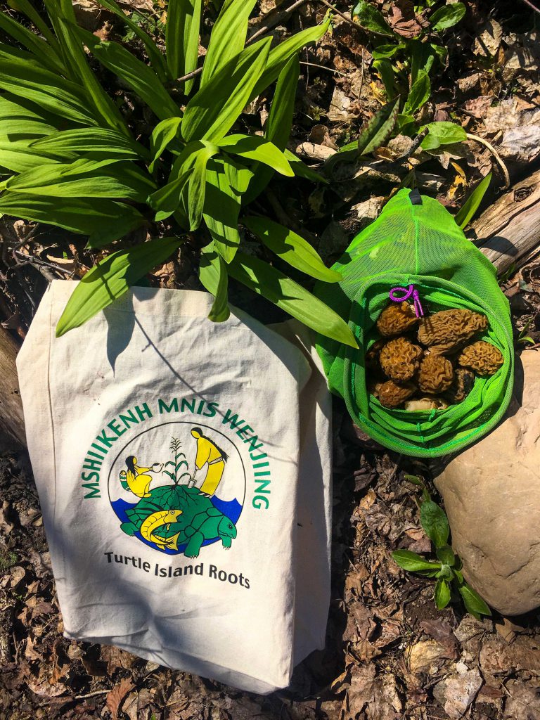 Learn how to harvest, prepare local wild food