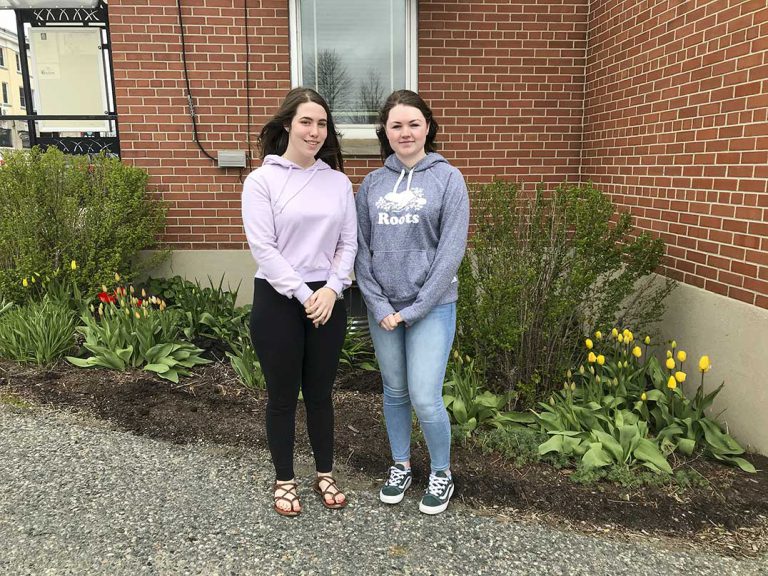 MSS students start challenge to help save bee populations